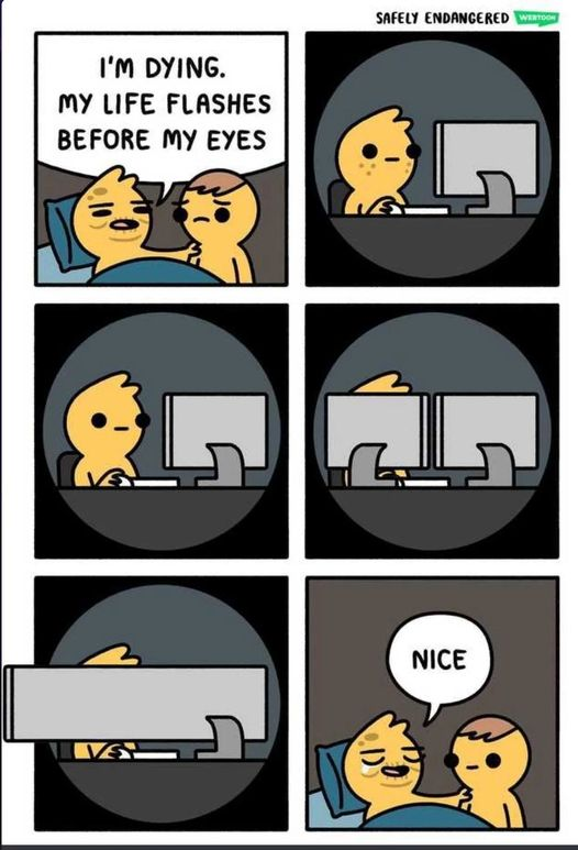 daboigbae's tweet image. the life of a programmer