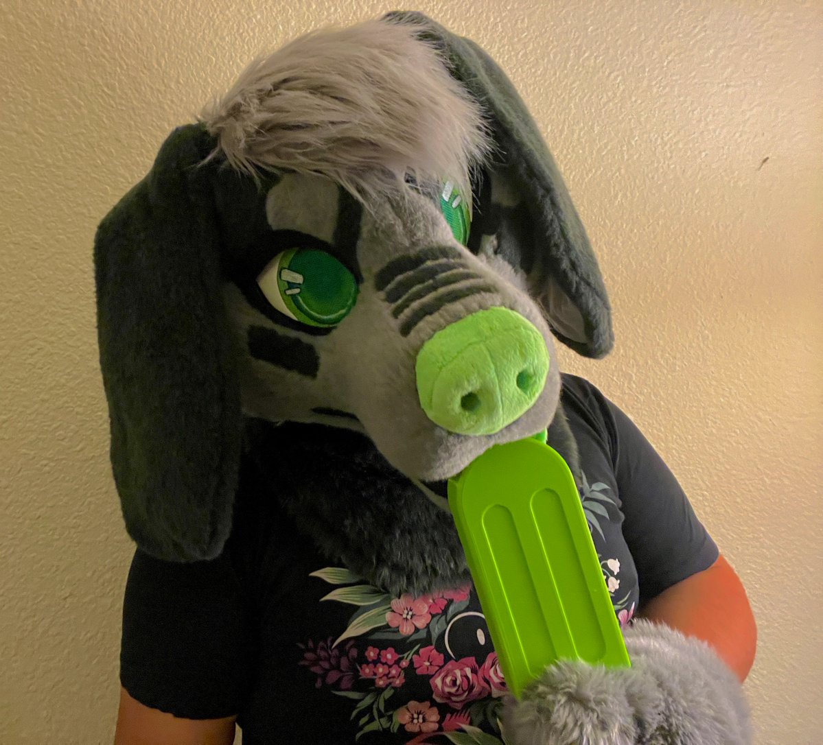 Midori_Hound's tweet photo. How to find me at FC 2024! I'll be running around as this silly dog with my new popsicle fan from @pawsandprops! 🐶💚

Let's make it a great weekend! ☺️ https://t.co/4R5iCbVNvE