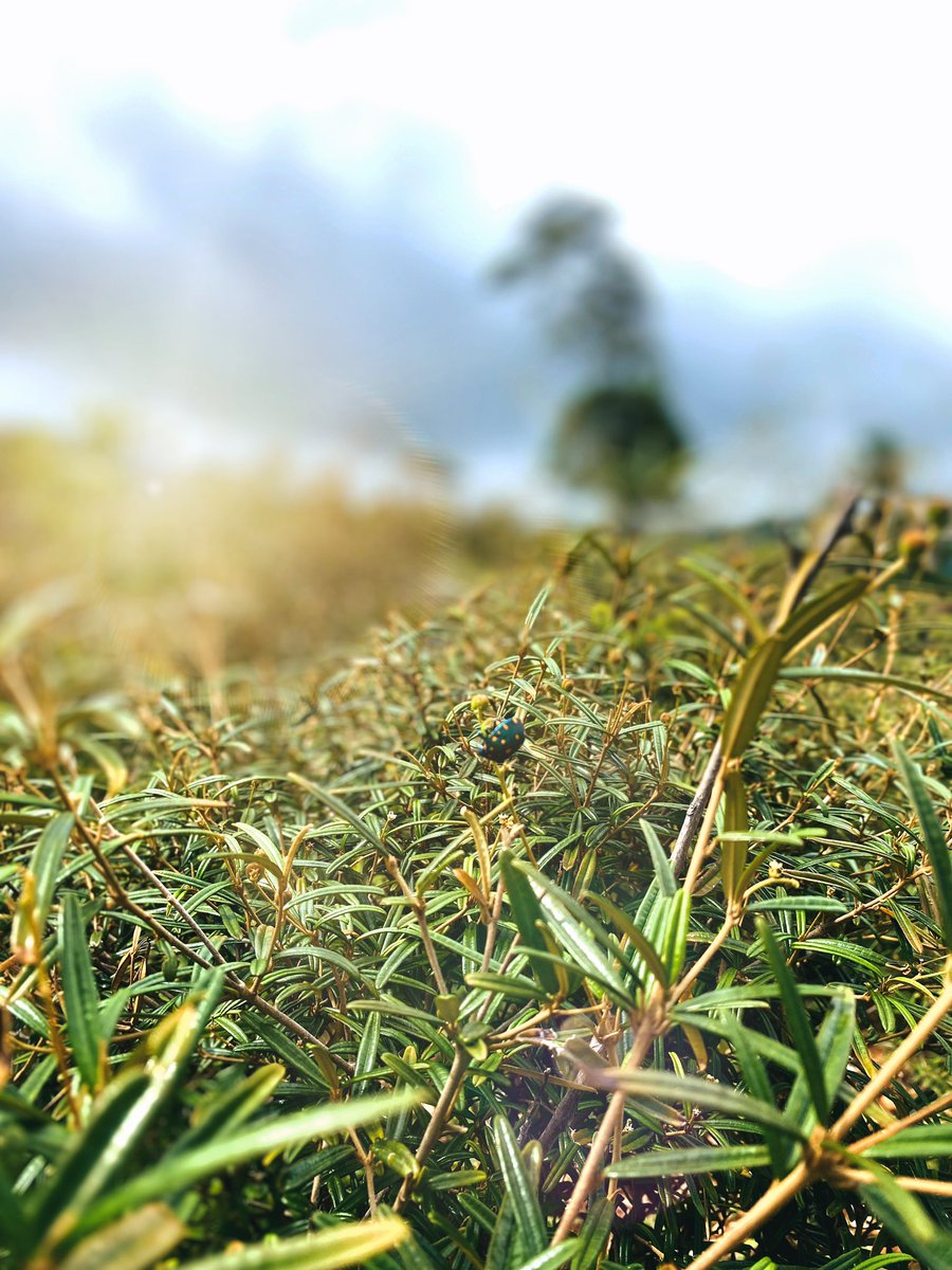 Kanelle_14's tweet image. #ShotAndEditedOnIphone