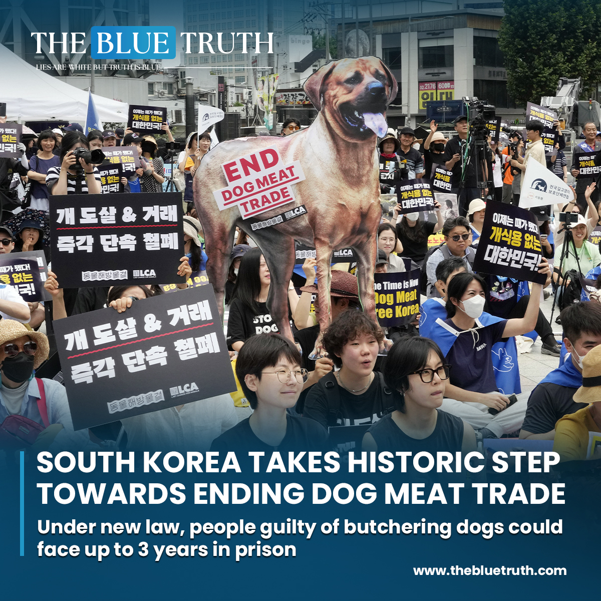 South Korea Takes Historic Step Towards Ending Dog Meat Trade.
Under new law, people guilty of butchering dogs could face up to 3 years in prison.
#EndDogMeatTrade #SouthKoreaAnimalRights #HistoricDecision
#AnimalWelfare #DogsDeserveBetter #KoreaAgainstDogMeat #tbt #TheBlueTruth