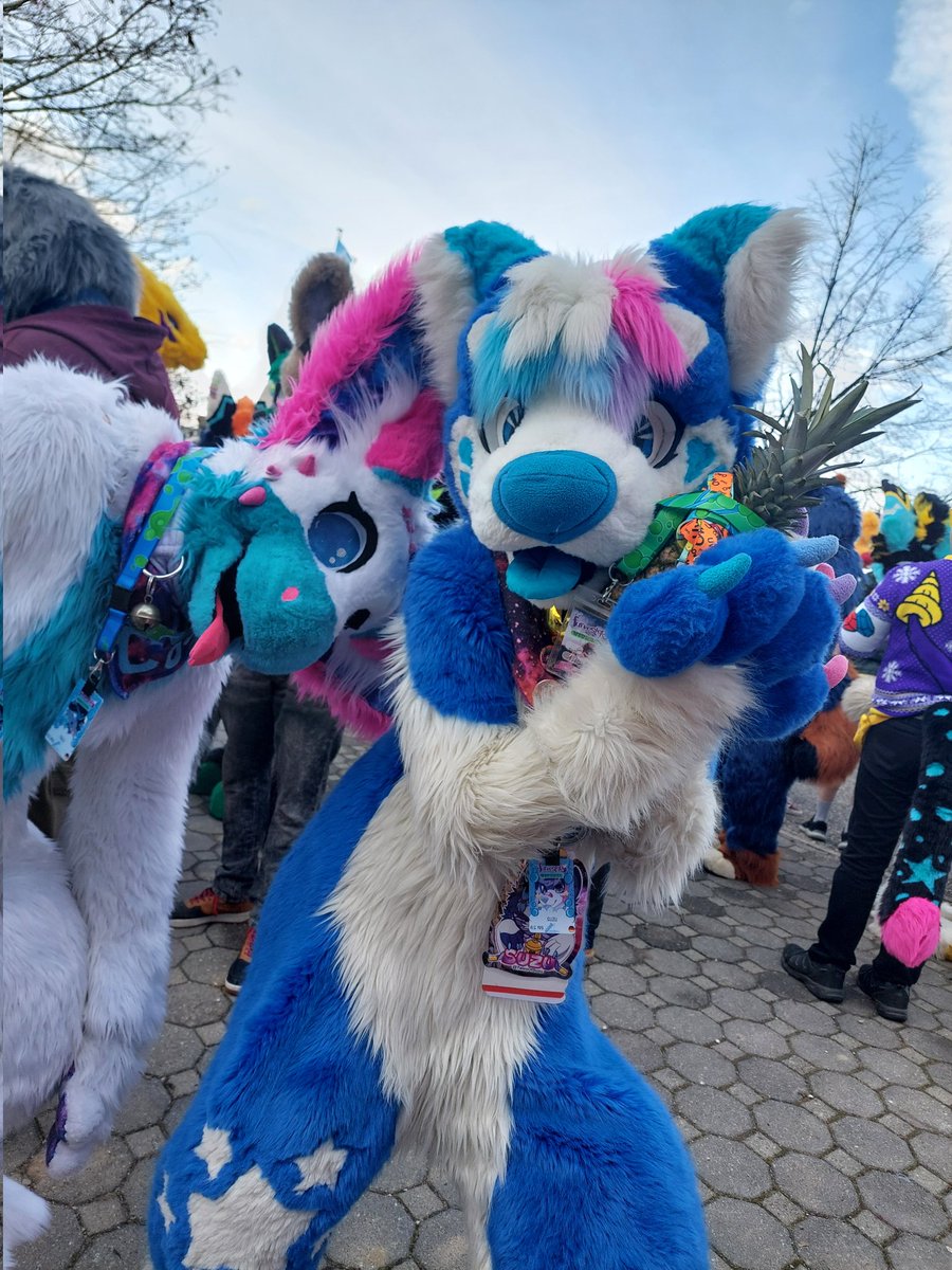 Remembering furvester 🥰