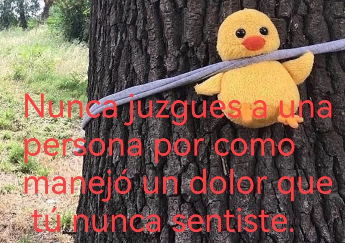 conoloracigarro's tweet photo. nunca juzgues a nadie 🐥 https://t.co/dmRcvtiavK