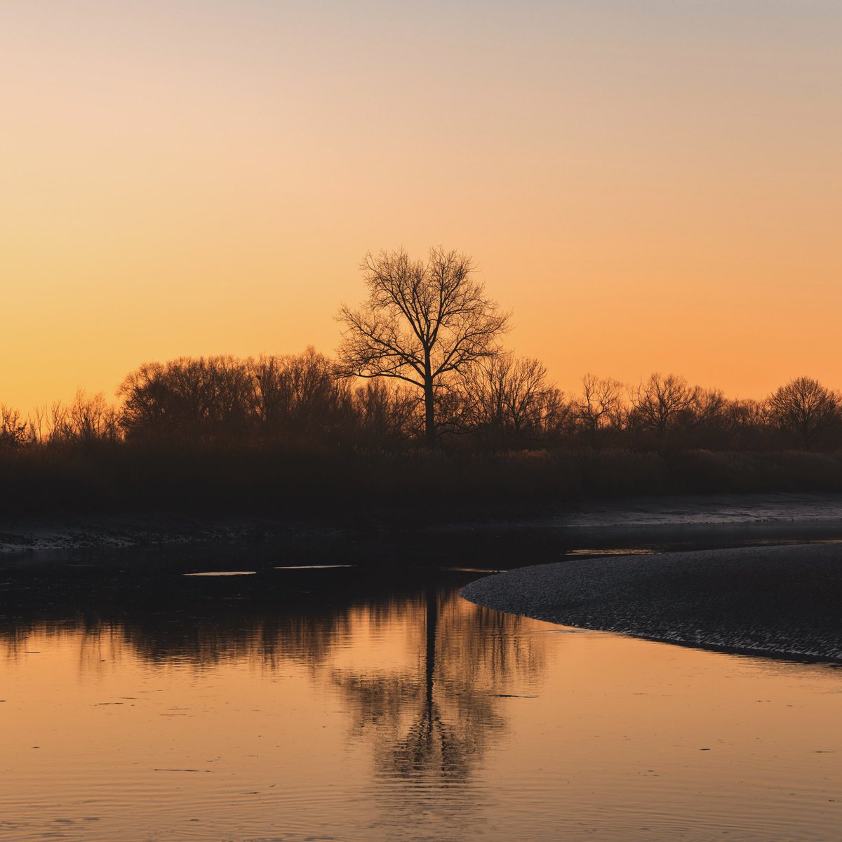 TylerJackSoares's tweet photo. #Vrtweer #tielrode #belgium 0840hrs -2C Jan 11th 2024

I really enjoyed this sunrise over here. The colors are waaaay better in person of course. Great place for bird watching too. https://t.co/Ak7IP1en74