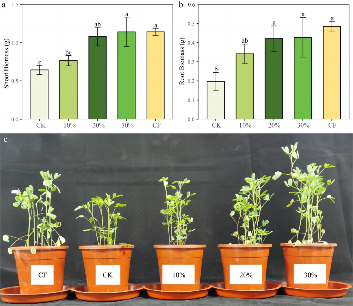 Investigating spent mushroom substrate (SMS) impact on alfalfa growth in degraded soil. Results show 20% SMS significantly enhances nutrient content, supporting sustainable agriculture. #SoilHealth #AgriculturalResearch
Details: maxapress.com/article/doi/10…