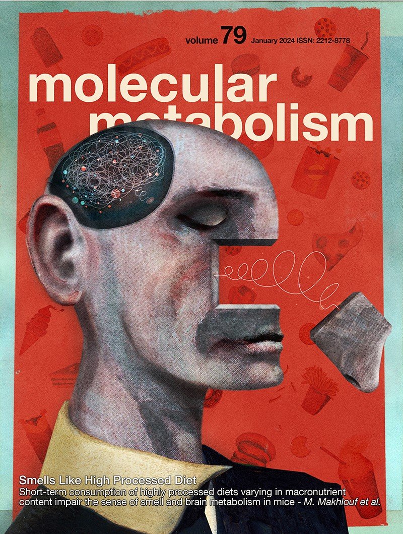 Luis Saraiva (@saraivalmr) on Twitter photo Turns out that our article made the cover of <a href="/MolMetab/">Molecular Metabolism</a>! It is the first cover of the <a href="/saraivalab/">Saraiva Lab</a>! Congrats y'all!
molecularmetabolism.com Turns out that our article made the cover of <a href="/MolMetab/">Molecular Metabolism</a>! It is the first cover of the <a href="/saraivalab/">Saraiva Lab</a>! Congrats y'all!
molecularmetabolism.com