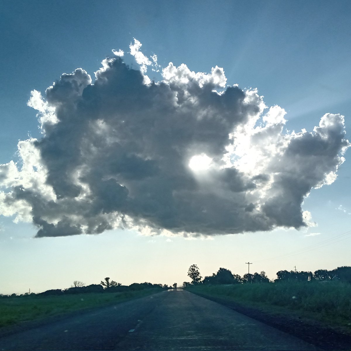 Tipichang's tweet image. #NuevaFotoDePerfil