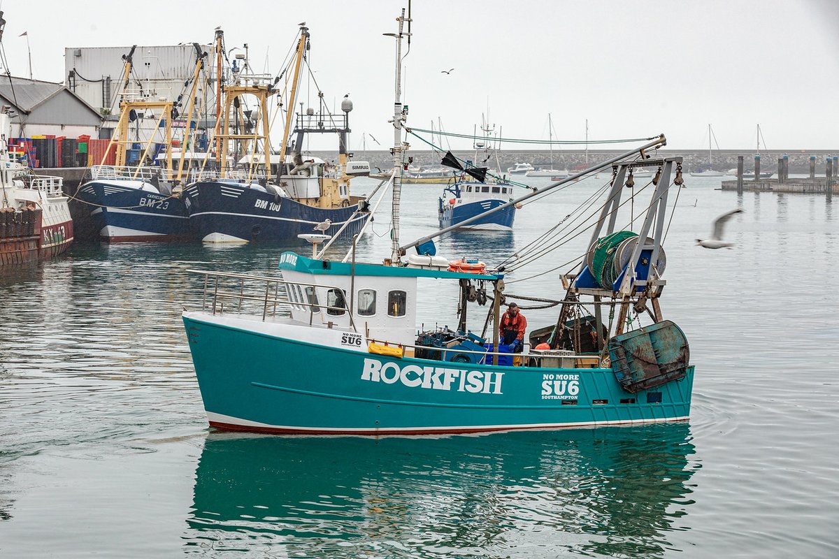 Every fish on our menu, or delivered to your door, has been sourced from one of three places:

🐟️ Our own boat, The Rockfisher, or boats like it that we know well, here within our home community of Brixham

🐟️ MSC certified fisheries

🐟️ Accredited Freshwater Farms