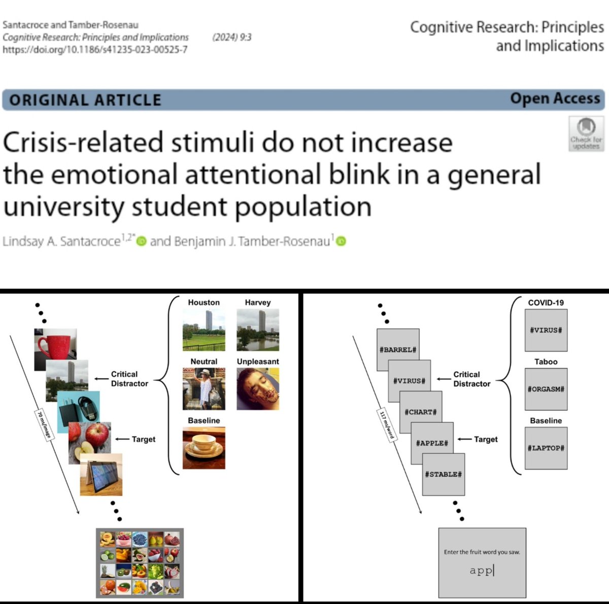 LASantacroce22's tweet photo. What happens when when you add Hurricane Harvey or COVID-19 distractors in a RSVP task?? Well, not much...

"Crisis-related stimuli do not increase the emotional attentional blink in a general university student population", out now in CR:PI! 👉🏽 https://t.co/jy8Njydd4w https://t.co/eghRcycqQh