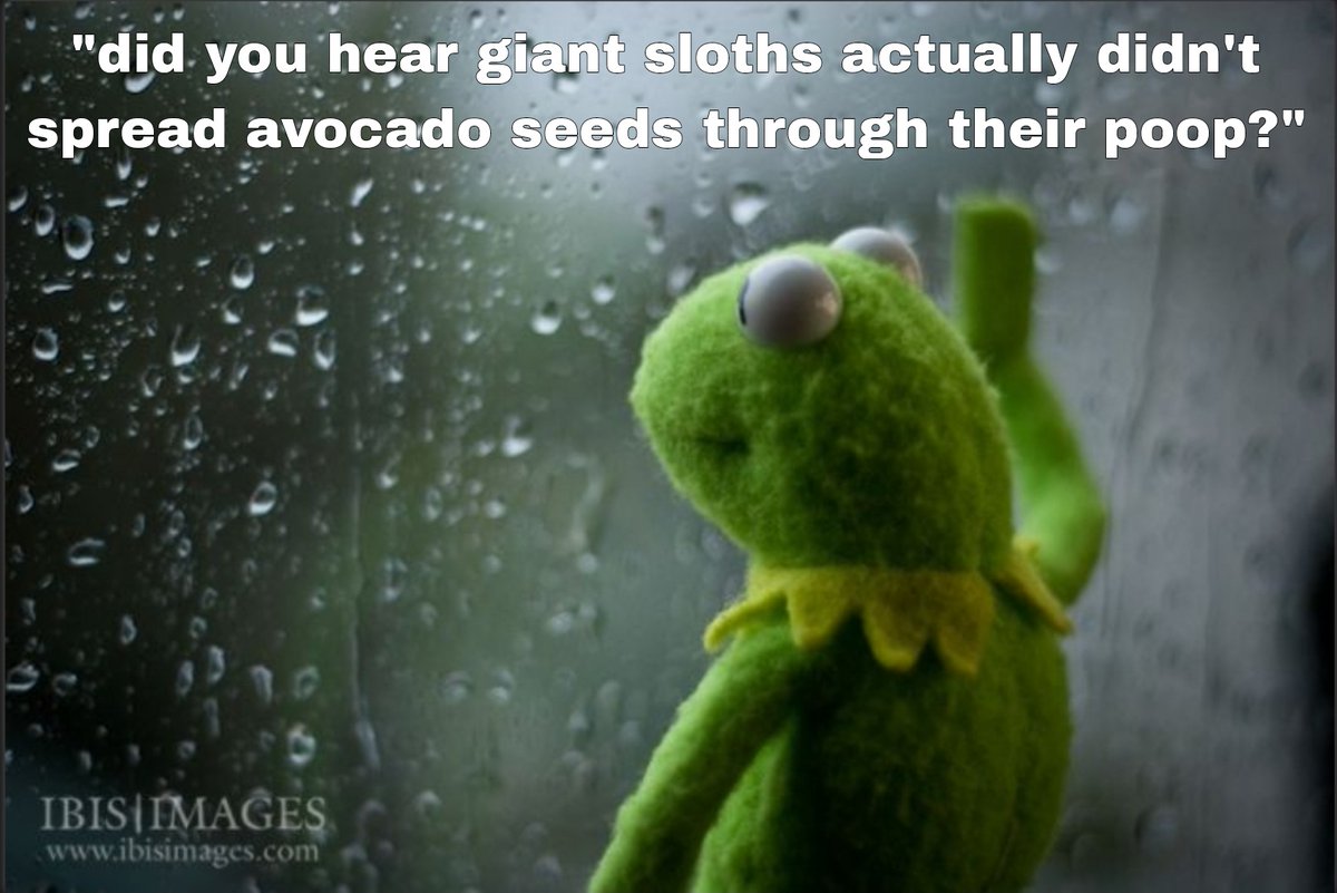 holypostmemes's tweet photo. this actually ruined my day when I heard this 😔 https://t.co/vqKL7P8mAT