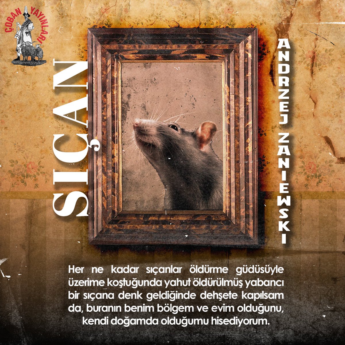 Zaniewski'nin insan ve hayvan arasındaki benzerlikleri bir sıçanın gözünden anlattığı, sizi şehirden alıp kanalizasyonların içine götürecek romanı ''Sıçan'' Çoban Yayınlarında sizi bekliyor.