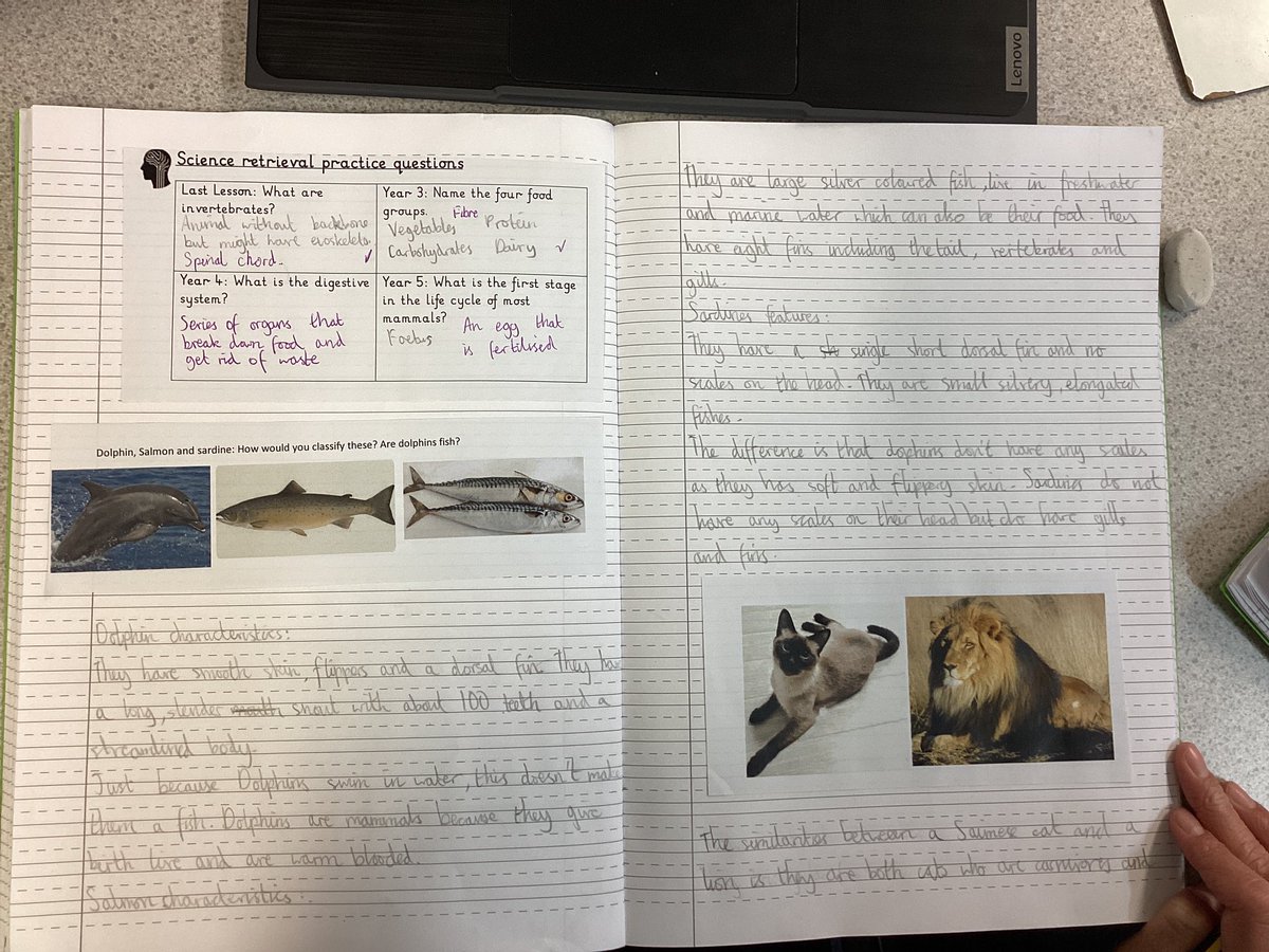PelhamYear6's tweet photo. Year 6 are classifying different animals based on their characteristics. #identifyingDifferencesAndSimilarities #Classification #Mammals #amphibians #insects #fish #WhyIsn’tADolphinAFish #Research @Psqm_HQ @trustilluminate @PelhamPrimary_ @LinneanSociety https://t.co/Xxg1k1HzlZ