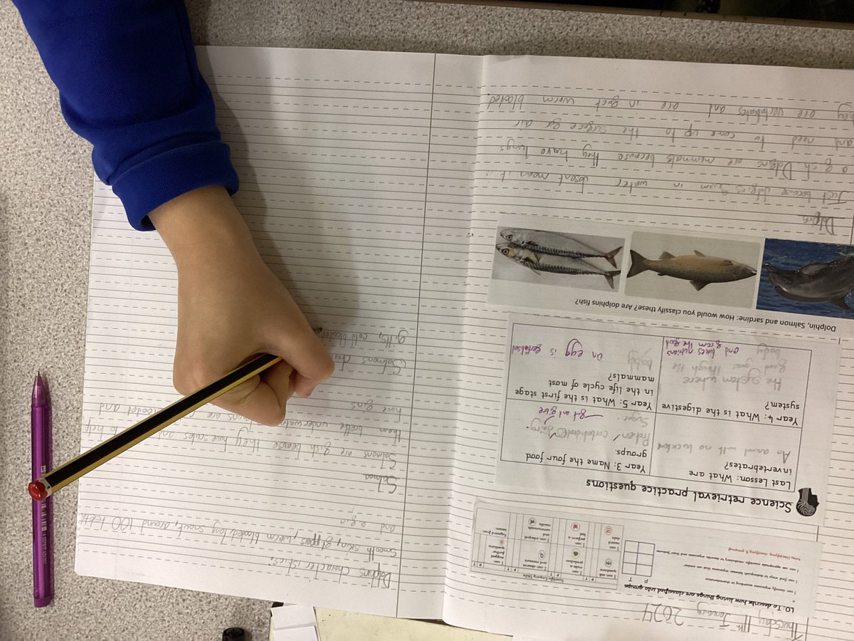PelhamYear6's tweet photo. Year 6 are classifying different animals based on their characteristics. #identifyingDifferencesAndSimilarities #Classification #Mammals #amphibians #insects #fish #WhyIsn’tADolphinAFish #Research @Psqm_HQ @trustilluminate @PelhamPrimary_ @LinneanSociety https://t.co/Xxg1k1HzlZ