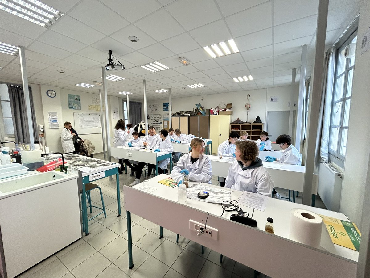 Jean-Yves WINUM tweet media