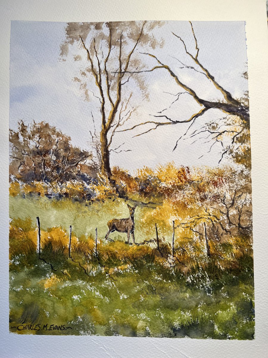 charlesevansart's tweet photo. Job done. @DalerRowney #Watercolour https://t.co/FFm1M0vG9i https://t.co/4Ck4eJg6IL