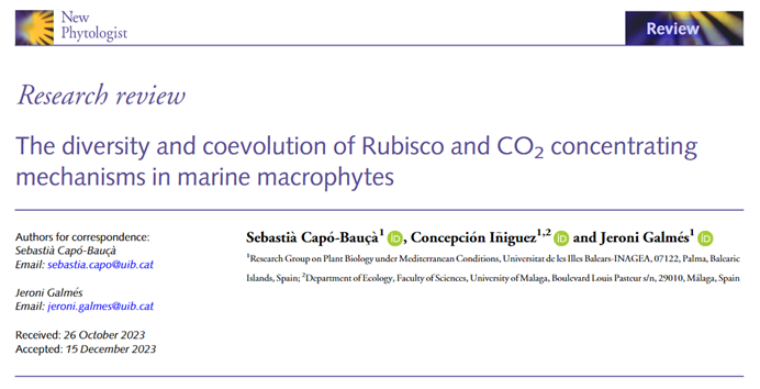 PlantMedUIB's tweet photo. El nostre grup ha publicat un article que tracta sobre la Rubisco, una proteïna cabdal en la biologia, ja que ajuda a les plantes, algues i certs bacteris a convertir el diòxid de carboni (CO₂) en matèria orgànica. https://t.co/mM2Sh9tiG4