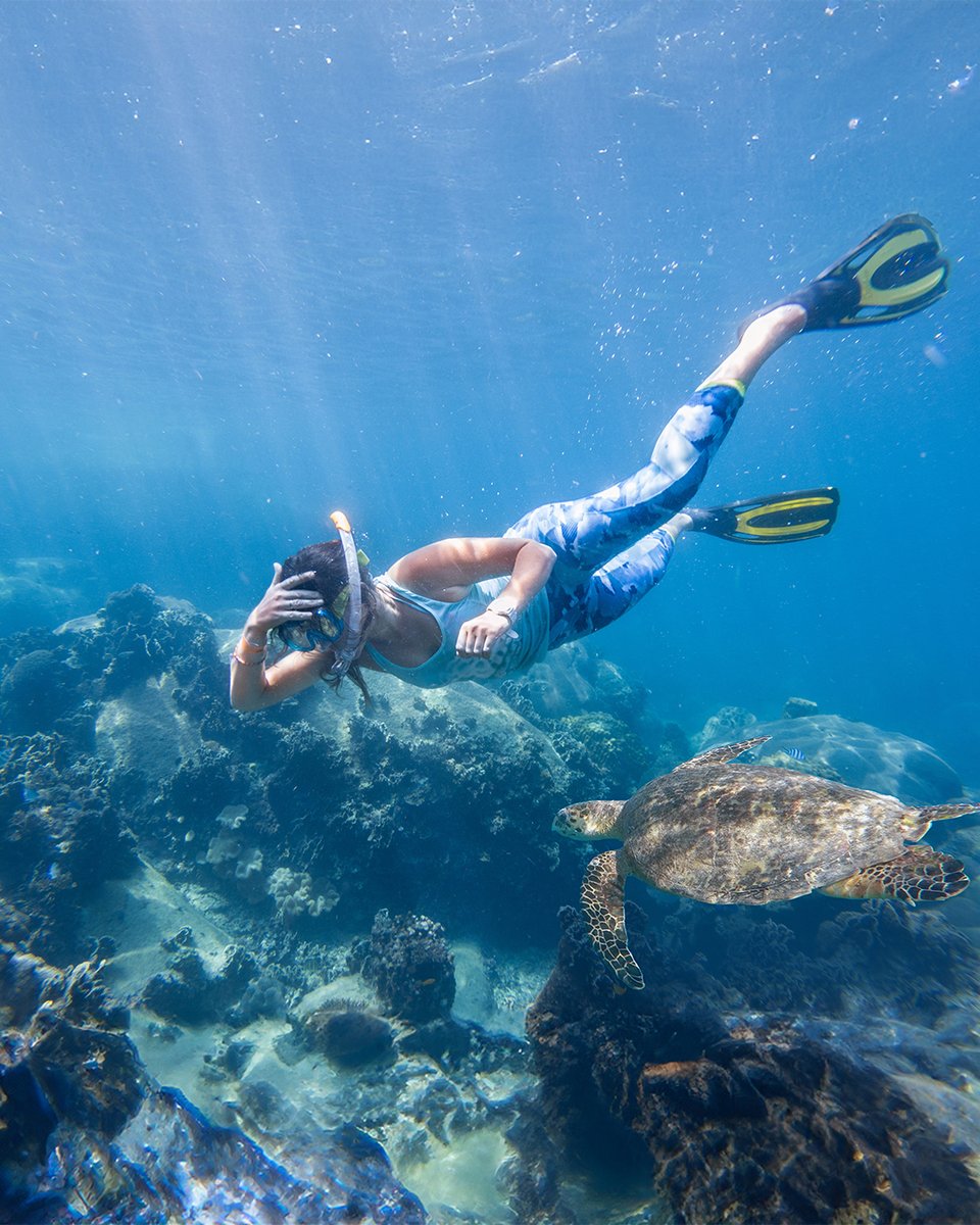 goaheadtours's tweet image. Our Spring &amp;amp; Summer Flash Sale starts now! Book by 1/18 to save up to $500 on spring and summer 2024 trips. Plus, lock in 2023 prices. Shop the sale: goaheadtours.me/3RVbeFY
#TravelSale #SummerTravel #SpringDestinations #TravelStyle #BeautifulDestinations #TravelAdventure