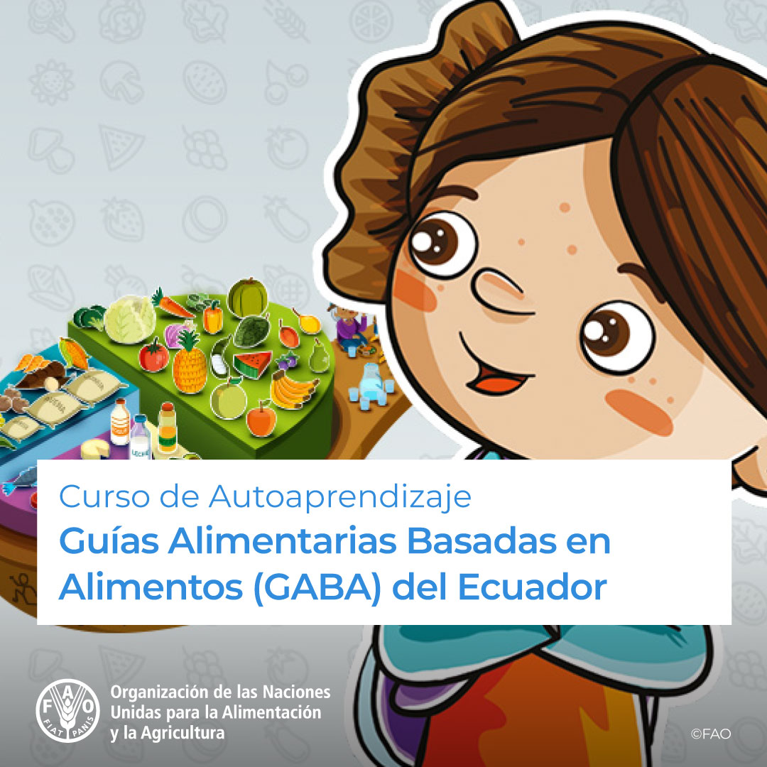 FAOEcuador's tweet photo. 🎓🥘 Curso de Autoaprendizaje Guías Alimentarias Basadas en Alimentos (GABA) del 🇪🇨

Matricúlate si eres profesional de la salud, líder comunitario, docente o tienes interés en estos temas. 

¡Da clic y empieza tu nuevo curso! 
👉https://t.co/rKhOTbzh6N

@FAOCampus https://t.co/11WqT02xzc