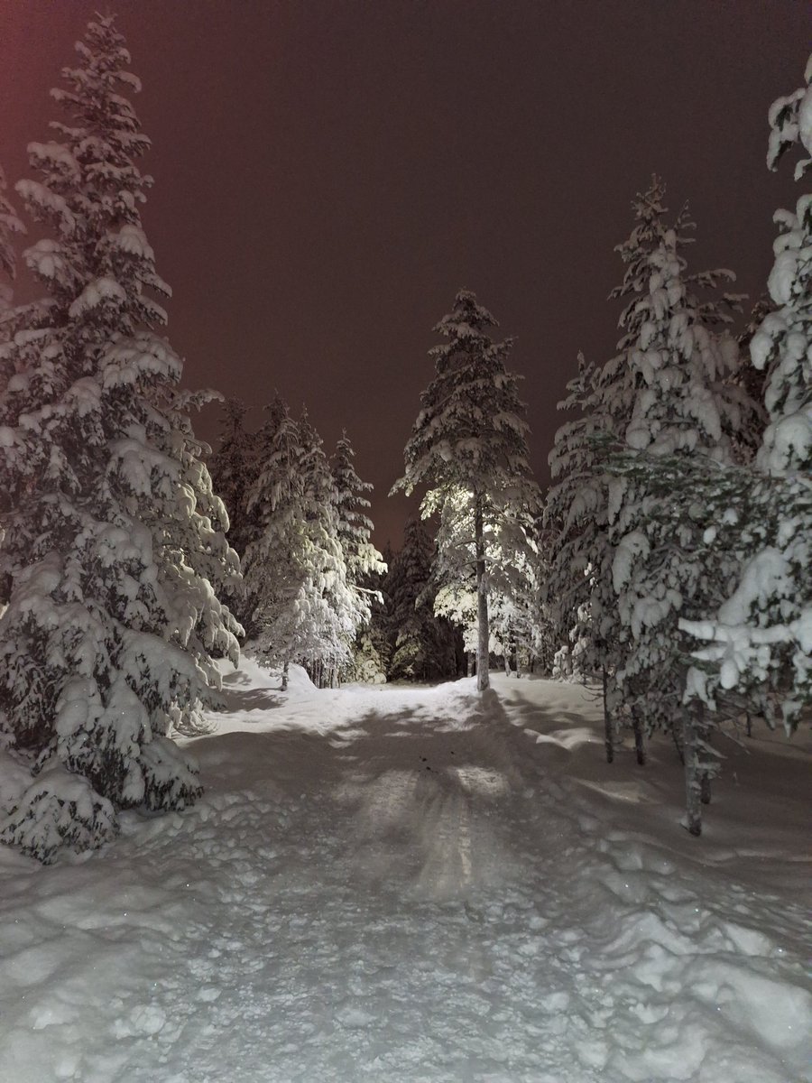 Kristiina Vuopala 🇫🇮 🇺🇦 tweet media