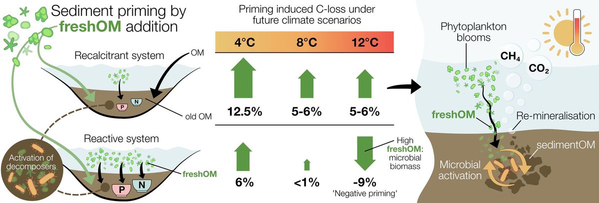 GlobalChangeBio's tweet photo. || NEW RESEARCH ||
Controls and significance of priming effects in lake sediments

📄 https://t.co/vg8UbrHE38 https://t.co/EypHnXtvhg
