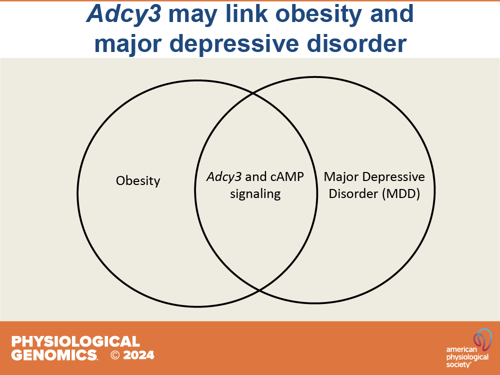 📃'Adenylate cyclase 3: a potential genetic link between #obesity and #MajorDepressiveDisorder' by Mackenzie Fitzpatrick  and Leah C. Solberg Woods

🖱ow.ly/Uo3o50Qol6n

#GeneticVariants #AdenylateCyclase3 #CyclicAMP