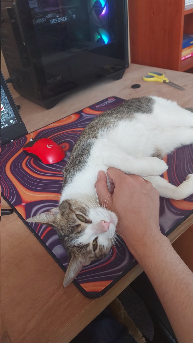 La lia no me deja jugar 🙄