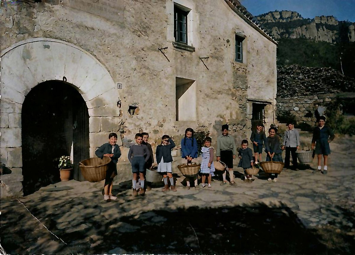 Raja la font tweet media