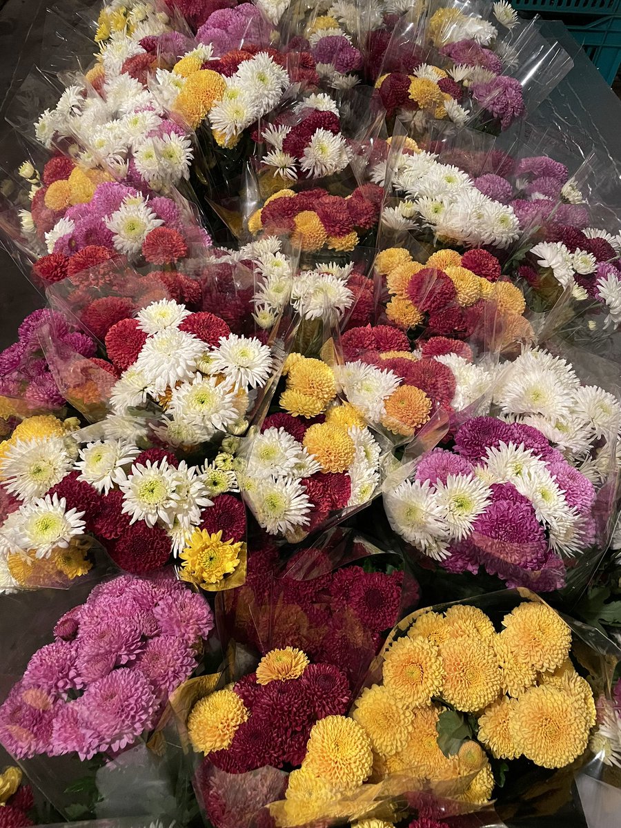 More Chrysanths…..
Coming to the end of them now. Luckily it’s nearly spring so we get to go round again.