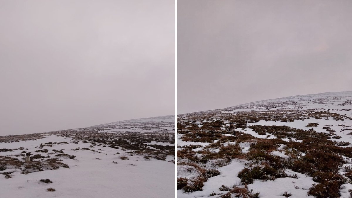 CairngormsCo's tweet image. Can you spot #CairngormsConnect Trainee Deer Stalker Flo and dog Ruadh in the snow 🔎

Flo is wearing snow camouflage and Ruadh’s colouring makes her naturally blend in with these surroundings. 

#Wildland @NatureScot @ForestryLS @RSPBScotland @cairngormsnews @CNPnature