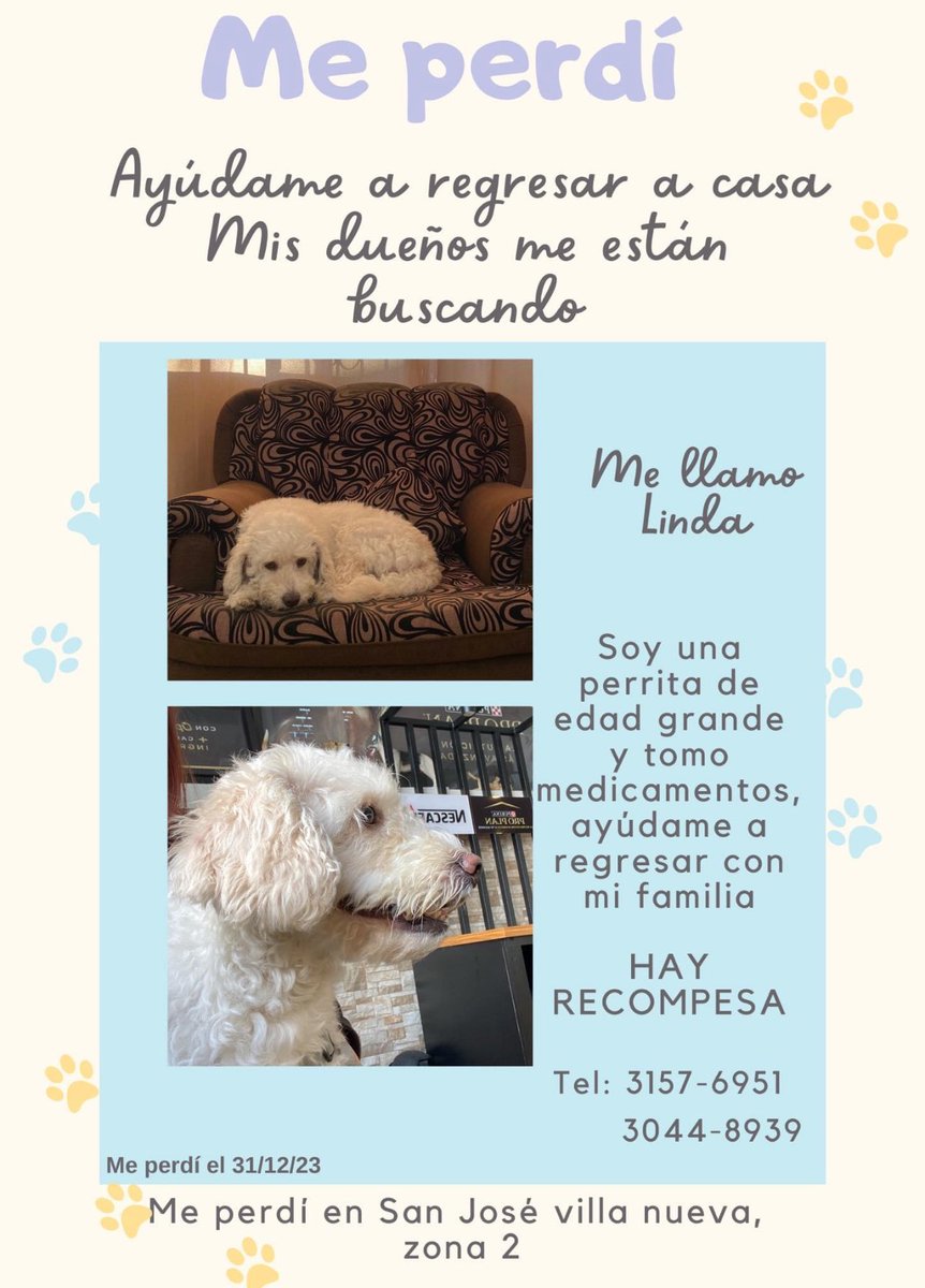 Gt502Mascotas's tweet photo. Por si ven a Linda amigos por favor, avísenle a su familia …. https://t.co/TnrDWijfJV