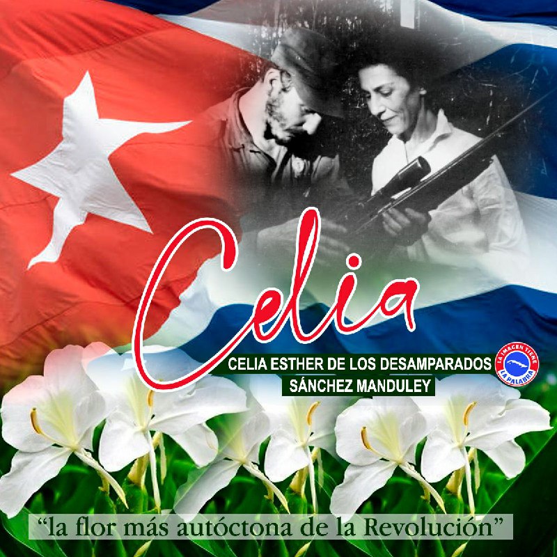 #CubaViveEnSuHistoria. 11 de enero de 1980, muere la heroína de la Sierra Maestra. Siempre te recordaremos Celia Sánchez Manduley, nos dejaste un baluarte, una historia, un ejemplo de coraje y dignidad soberana. #DeZurdaTeam <a href="/CaguairanCuba/">Caguairán</a>