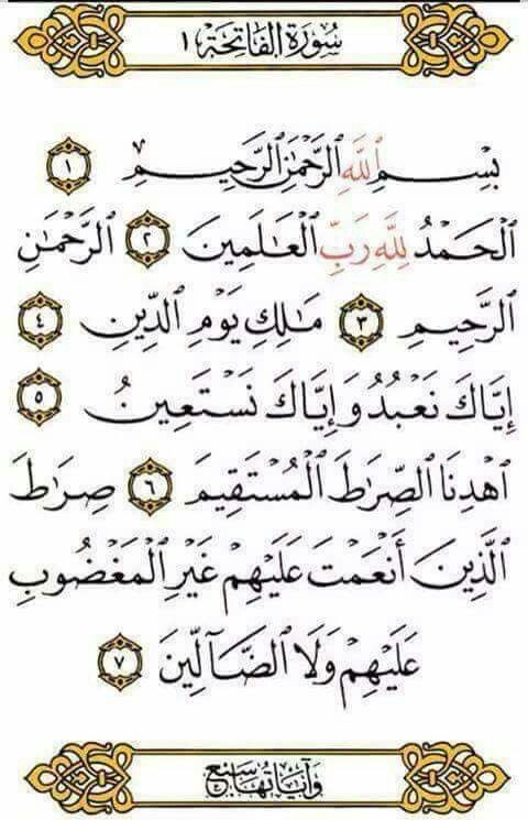 الاُوركيد tweet media