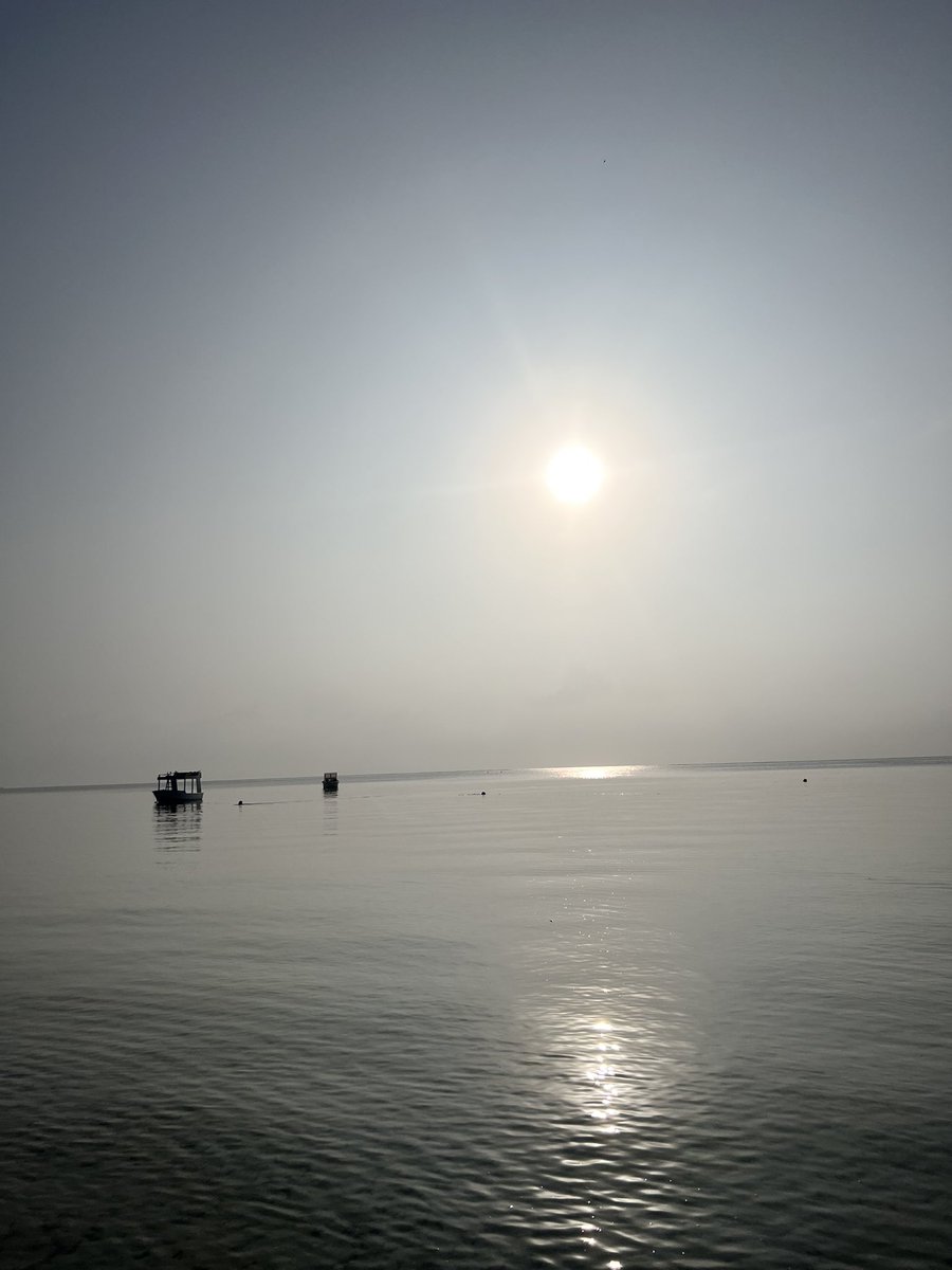 2023 was both inspiring and blessed. Looking forward to 2024!! Back in the office  🥂 <a href="/TairLabs/">TAIR Labs</a>