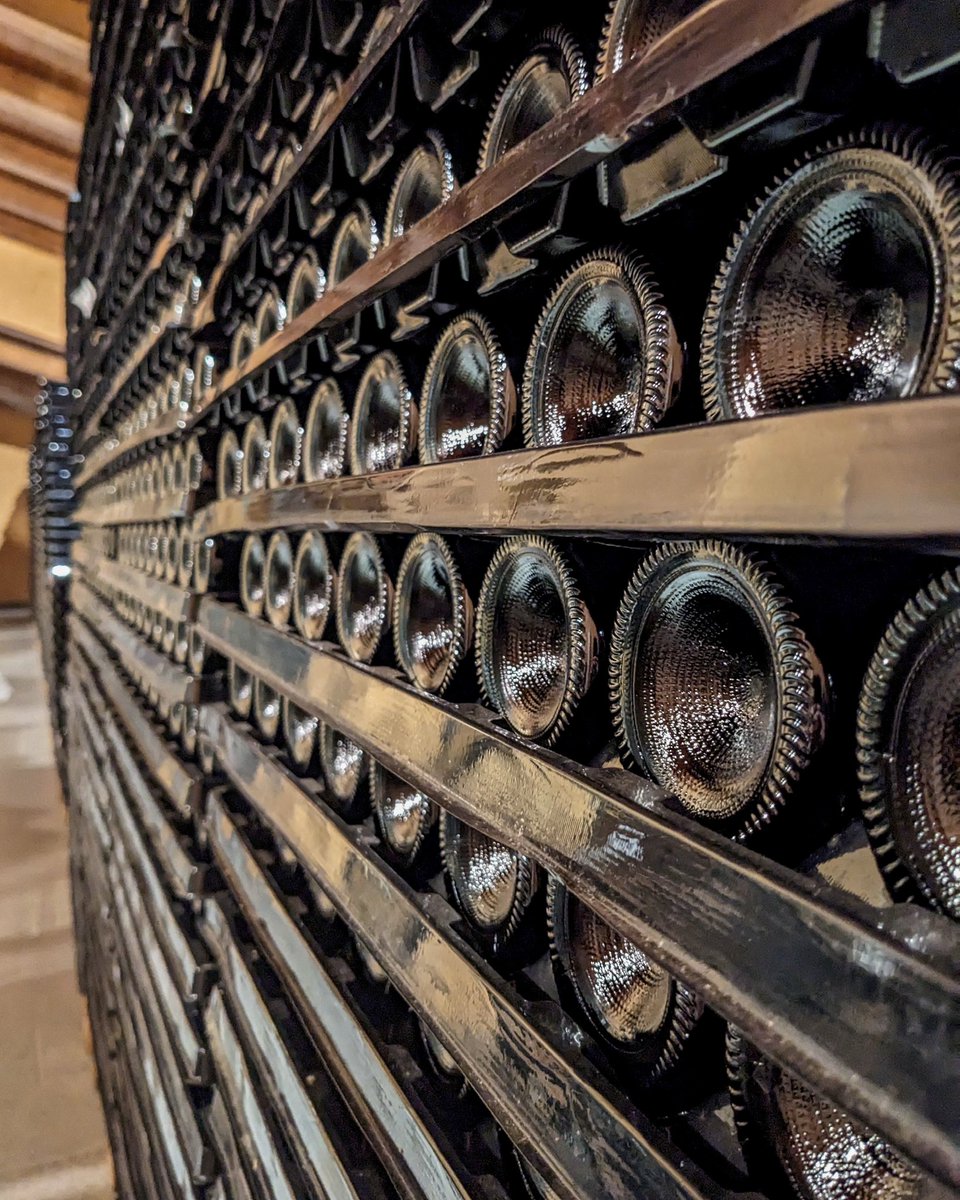 cognowines's tweet photo. The countdown has begun! The new vintages of Barolo are about to reveal their magic.

Last period of bottle aging: the wait is about to be rewarded!

#elviocogno #bottleaging #barolo https://t.co/2Zwwl7IY1d