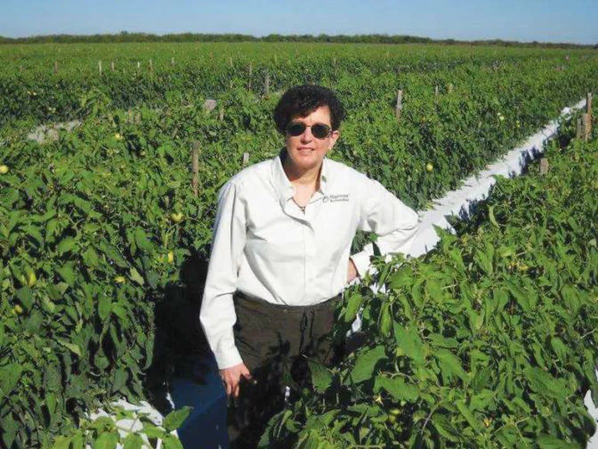 Pam Marrone: “En 20 años el crecimiento de productos biológicos será mayor que el de los químicos”

mitreyelcampo.cienradios.com/especiales/pam… 

<a href="/CortevaARG/">Corteva Argentina</a>
 
<a href="/agroadvance/">AGROADVANCE</a>
 
<a href="/RizobacterARG/">Rizobacter</a>