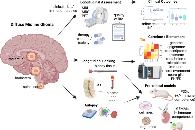 Cancer_Cell's tweet photo. A road map for the treatment of pediatric diffuse midline glioma https://t.co/NejoFrYhrx https://t.co/sZMXE7Lljv