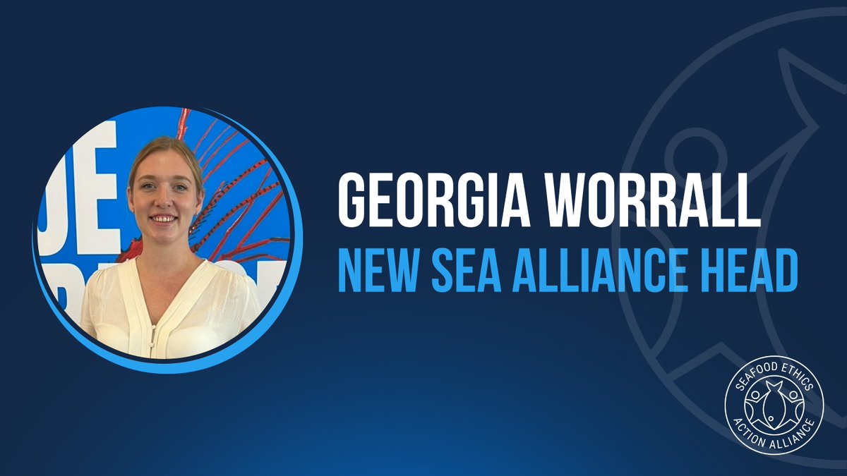 SEA_Alliance's tweet photo. We’re delighted to announce that Georgia Worrall, whose previous roles in human rights and ethical trade for the Co-Op &amp; Caterers Choice has been selected as SEA Alliance’s new Head.

More here: https://t.co/GTyN7fwyCN https://t.co/MZlPjeVRDS