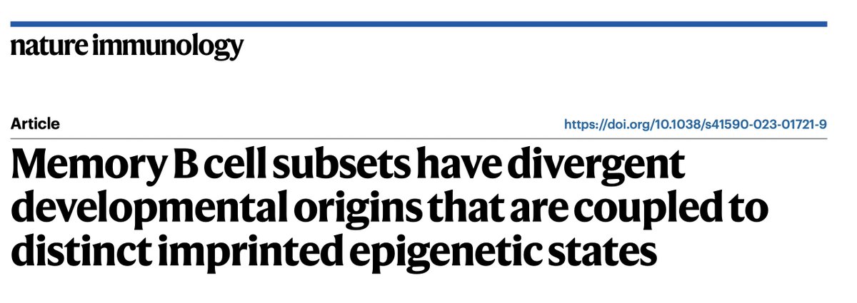Mohamed ElTanbouly (@plasmacellguy) on Twitter photo The work discussed by <a href="/ShlomchikLab/">Mark Shlomchik Lab</a> is now in <a href="/NatImmunol/">Nature Immunology</a>
rdcu.be/dvK88
#Immunology The work discussed by <a href="/ShlomchikLab/">Mark Shlomchik Lab</a> is now in <a href="/NatImmunol/">Nature Immunology</a>
rdcu.be/dvK88
#Immunology