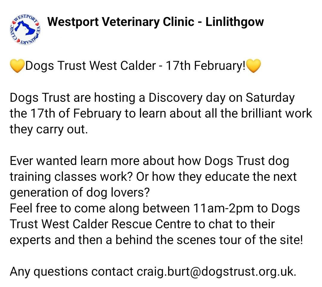 💛Dogs Trust are hosting a Discovery day on Saturday the 17th of February to learn about all the brilliant work they carry out! #bekind #workingtogether #linlithgow #southqueensferry #edinburgh #westportvets #westportveterinaryclinic #supportindependentvets