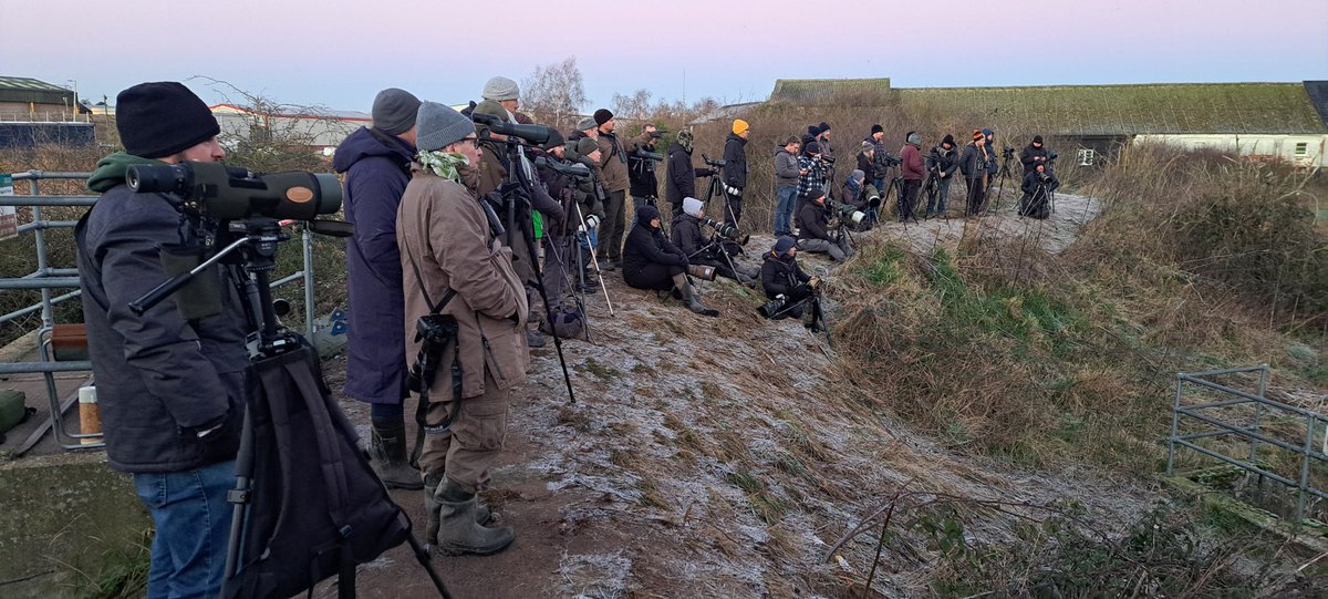 John Barber tweet media