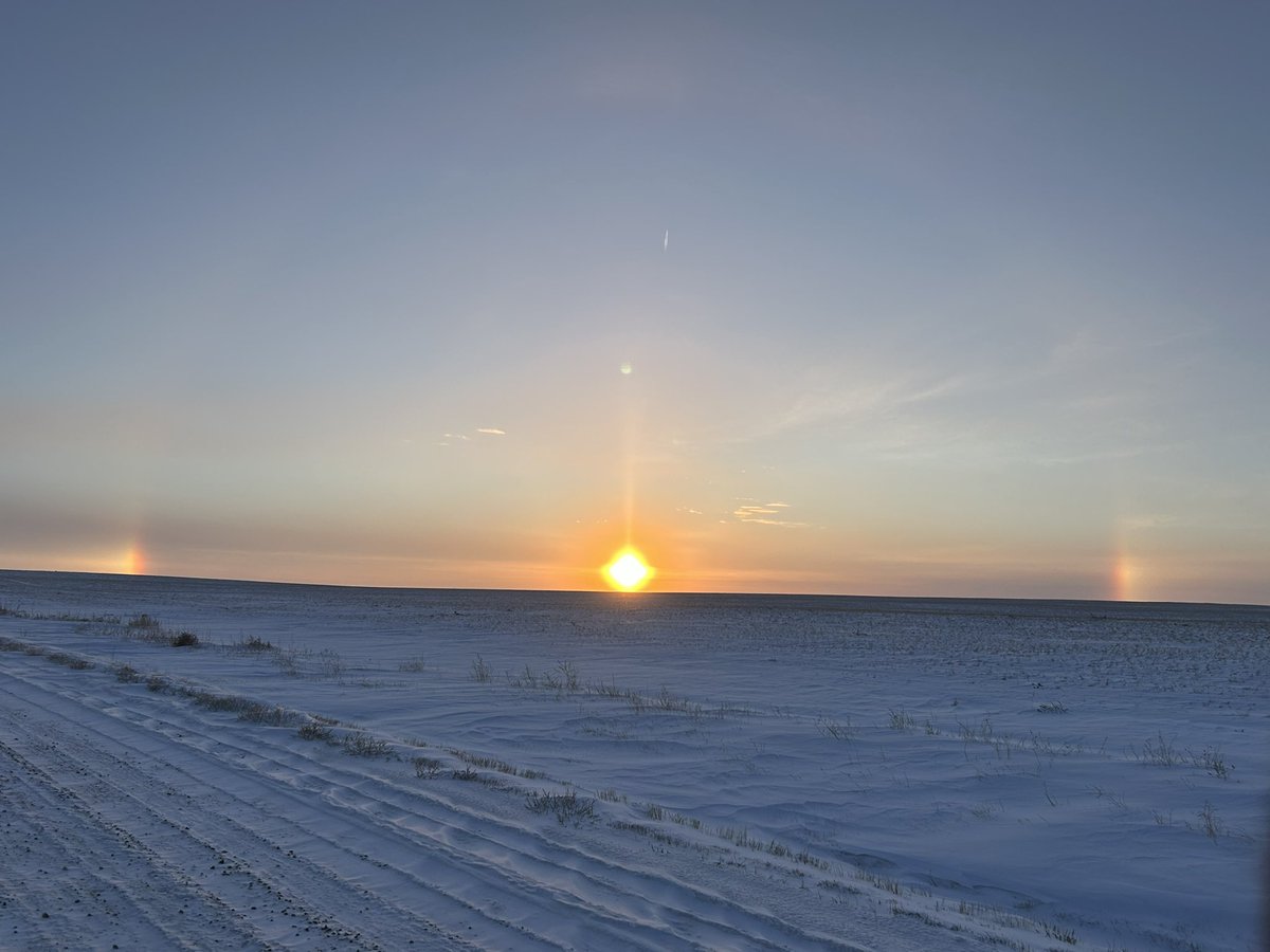 Lonesome Dove Ranch tweet media