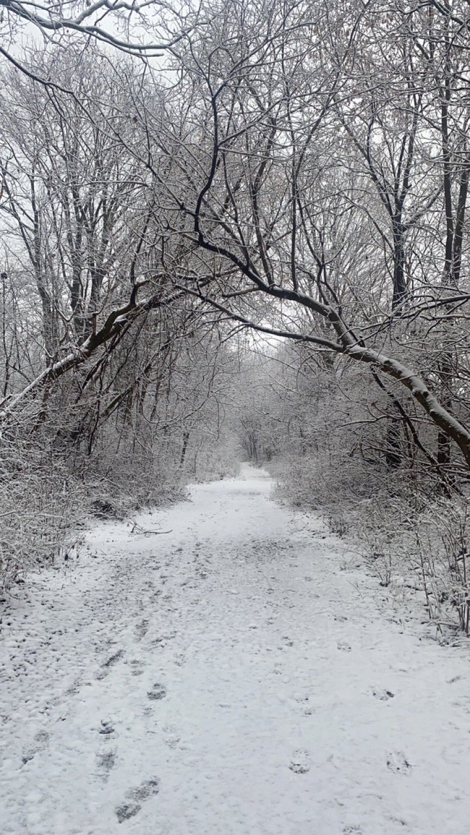 Michelle Louise tweet media