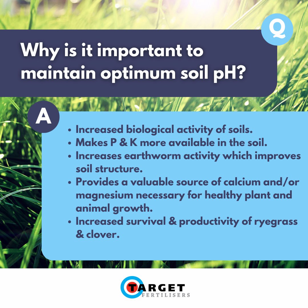 targetfert's tweet photo. Did You Know❓
Maintaining optimum soil pH has many benefits⬇️⬇️
#GrassGrowth #FertiliserApplication #GrassToMilk https://t.co/1ViG2IvhCt