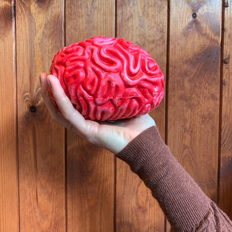 LOST BRAIN 🧠

Is this your brain? If so, please get in touch,

We've had several brains left unattended in store this week due to new year adjustments. May we politely suggest our Brain Food to power you into February.

Dead good: bit.ly/4aT7MEp