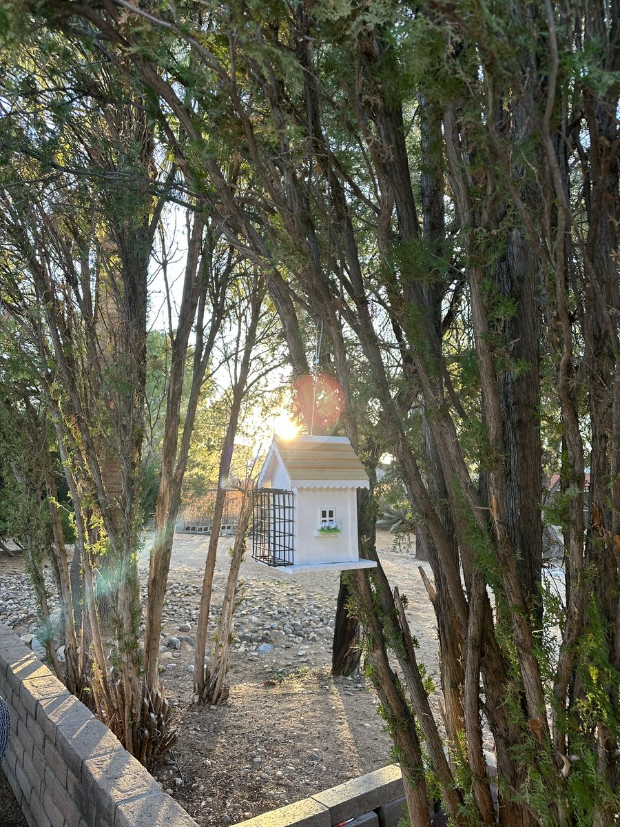 11 JAN24: Wishing all X Friends and Well wishers a #Bright #Healthy and #Strong Thursday! The #healing rays of the #MorningSunshine are so #fresh and #beautiful !