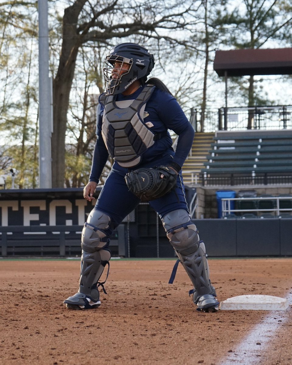 GaTechSoftball tweet picture