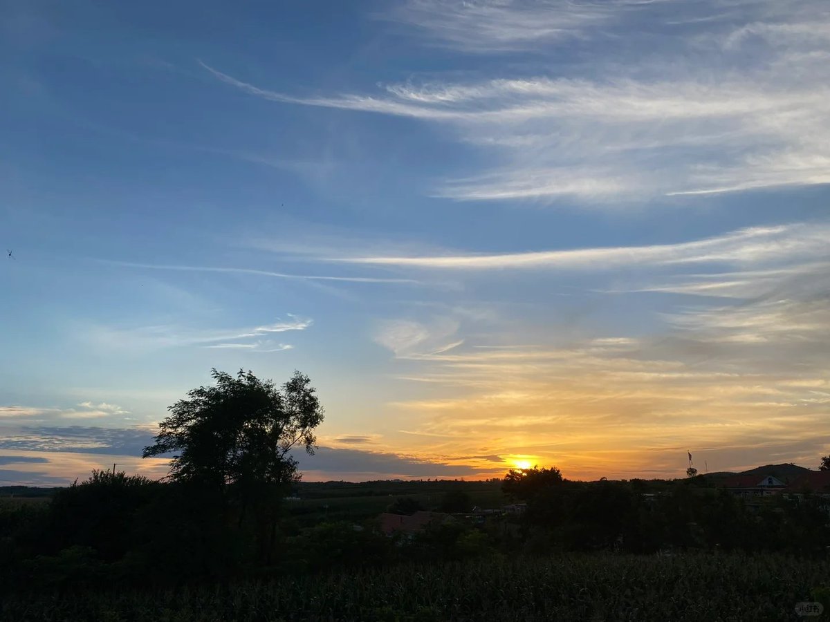 "Enjoying the peaceful moments of this afternoon, soaking in the warmth and tranquility. It's the simple pleasures that bring joy."