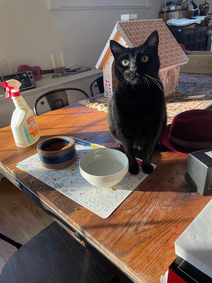 lawyerschiff's tweet photo. What time is it #Daddy?

Why its #TedTime with @jackrice on @CourtTV, #JusticeKitteh!  @TedCourtTV has multiple live trials breaking all day, including a ProSe defense! https://t.co/sc1VG9MCtg