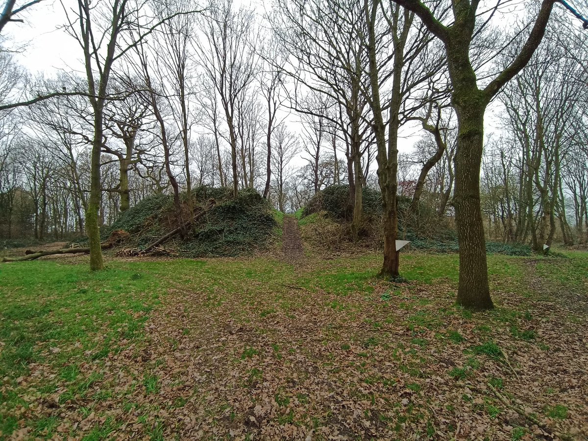 Anarchy (?) Castle at Pitches mount