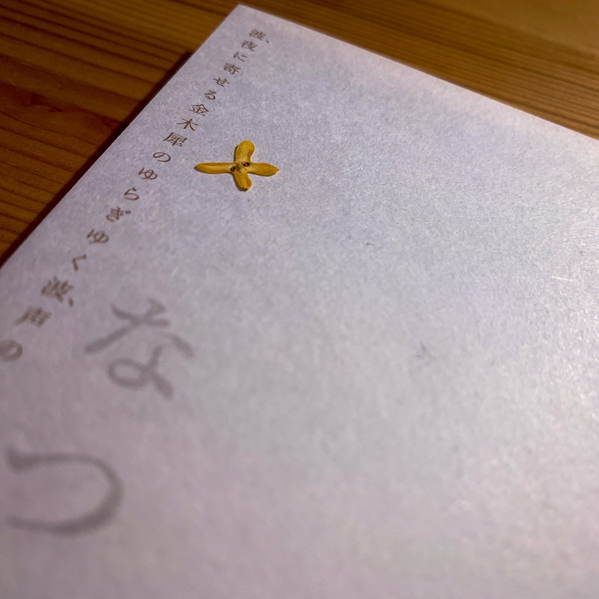 山腰亮介 tweet media