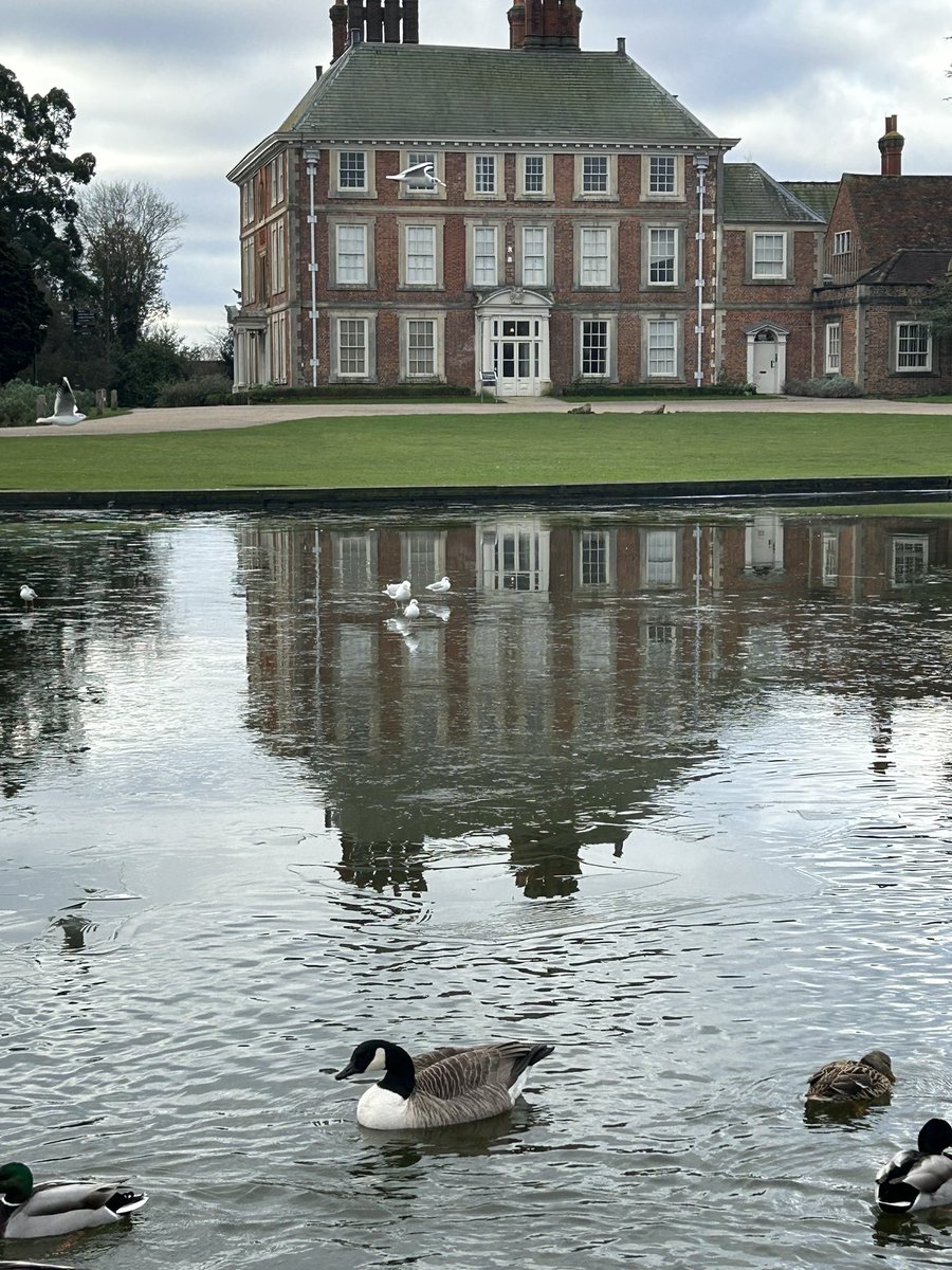 JulieRyanEvents's tweet photo. Chilly jaunt around @Forty_Hall but lovely to see snowdrops and plenty of pond life 😊#10minutesbriskwalk https://t.co/duy9qRB5Zv